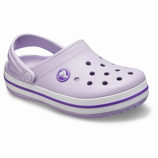 Crocs Crocband™ Girls' Clogs Lavender | TCR-013249